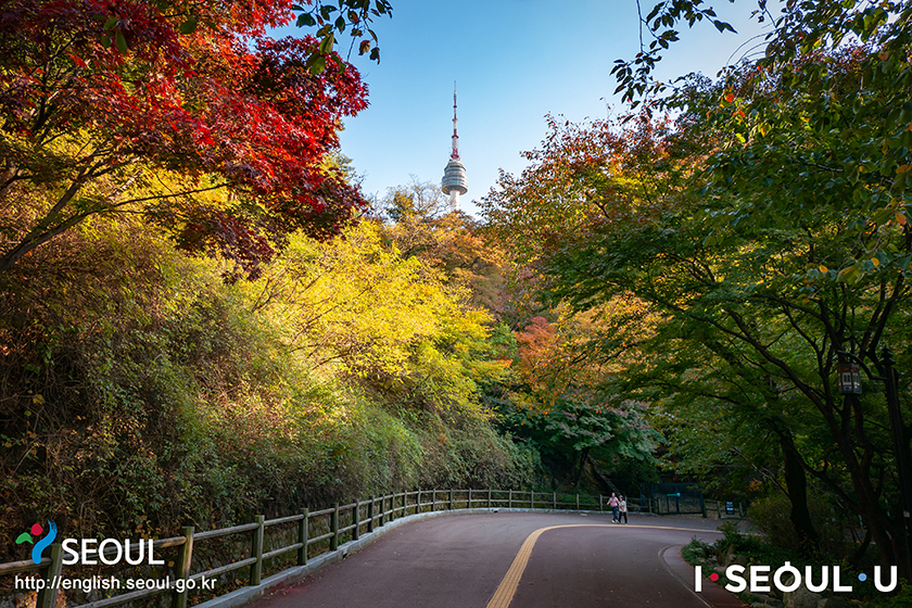 ソウルの秋の風景、ナムサン(南山)公園
