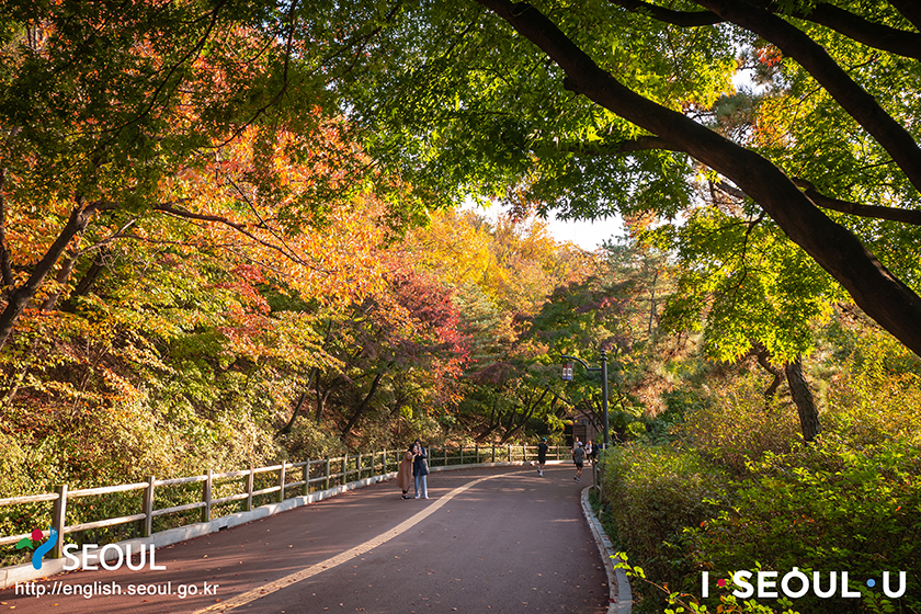 ソウルの秋の風景、ナムサン(南山)公園