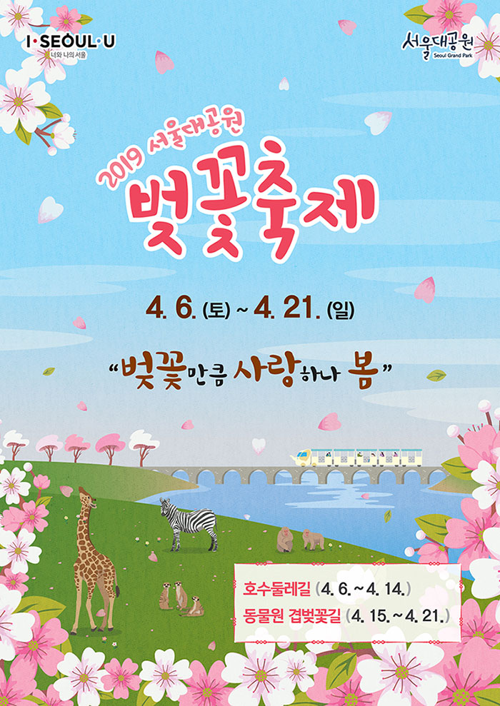ソウル大公園桜祭り