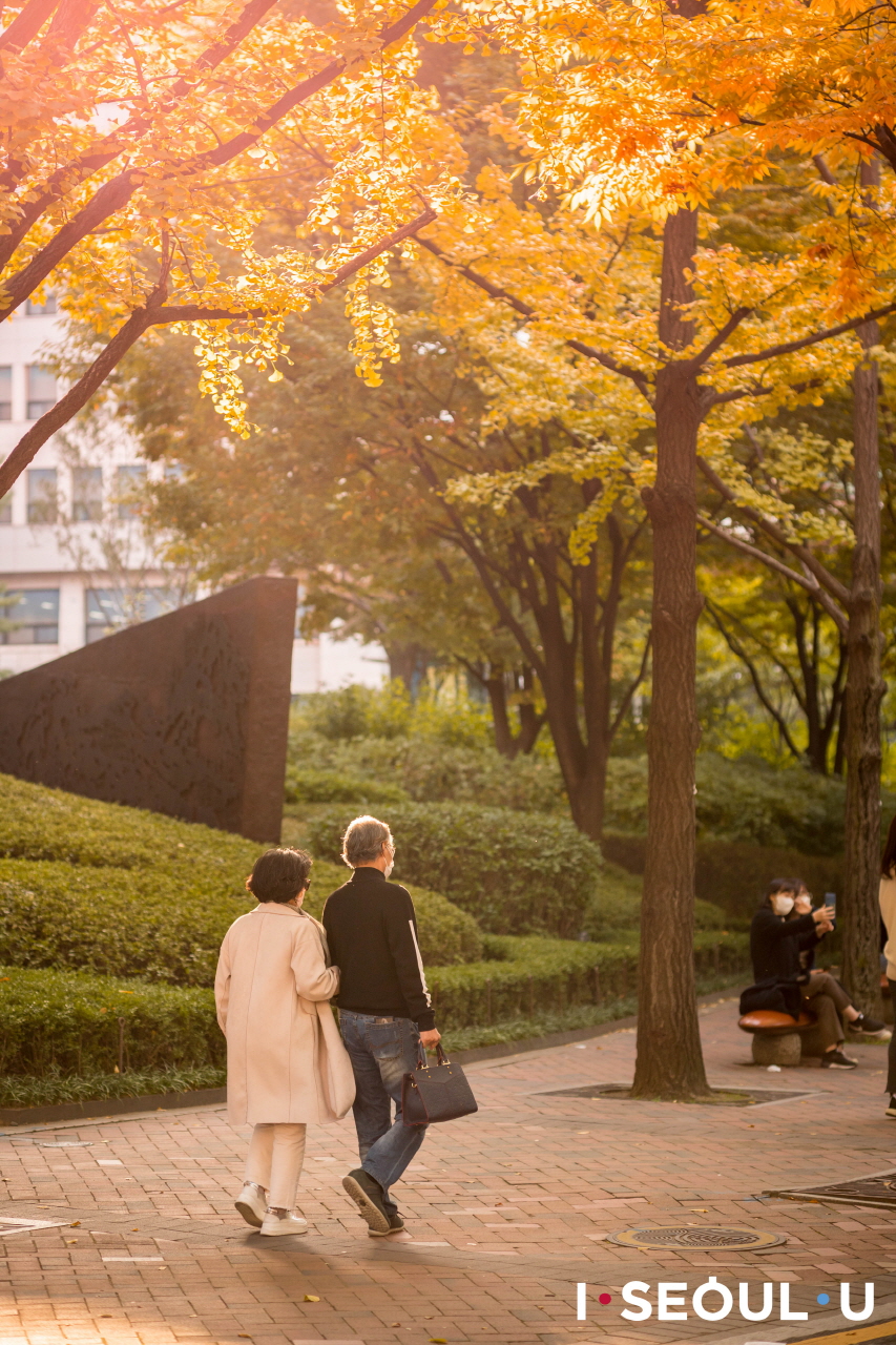 橙色に染まる紅葉やイチョウの木の下、トクスグン(徳寿宮)道を歩く老夫婦
