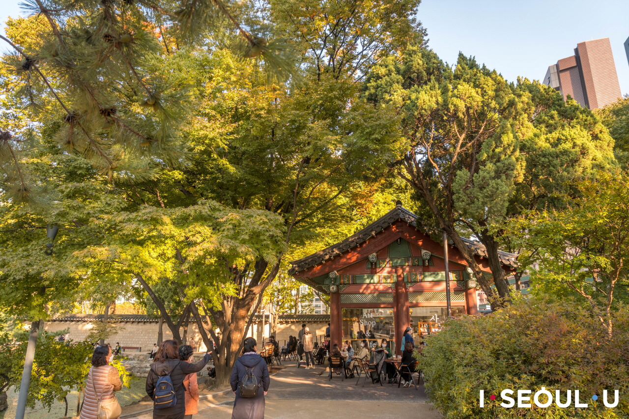 豊かに生い茂った木陰、トクスグン(徳寿宮)休憩所に並んで座り休む人々