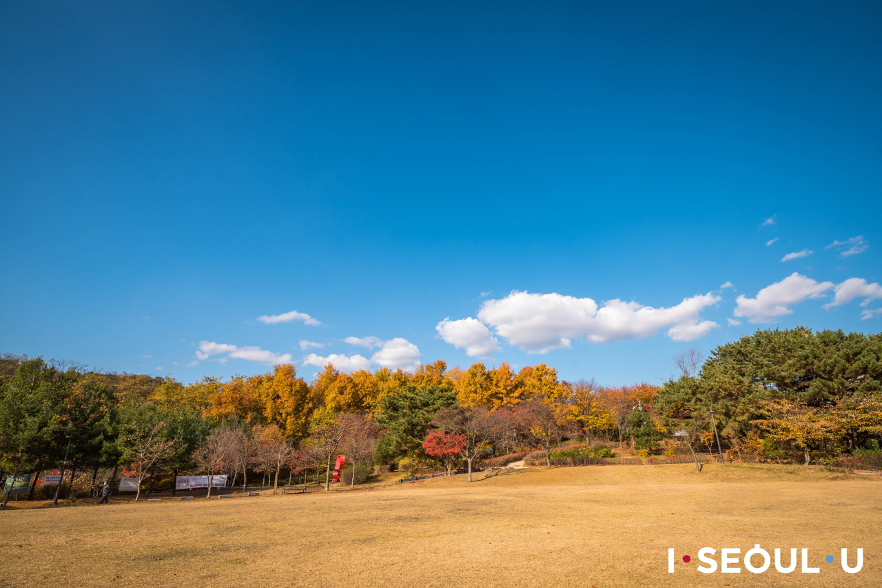 澄んだ青い空とポンスデ(烽燧台)公園の野原の全景
