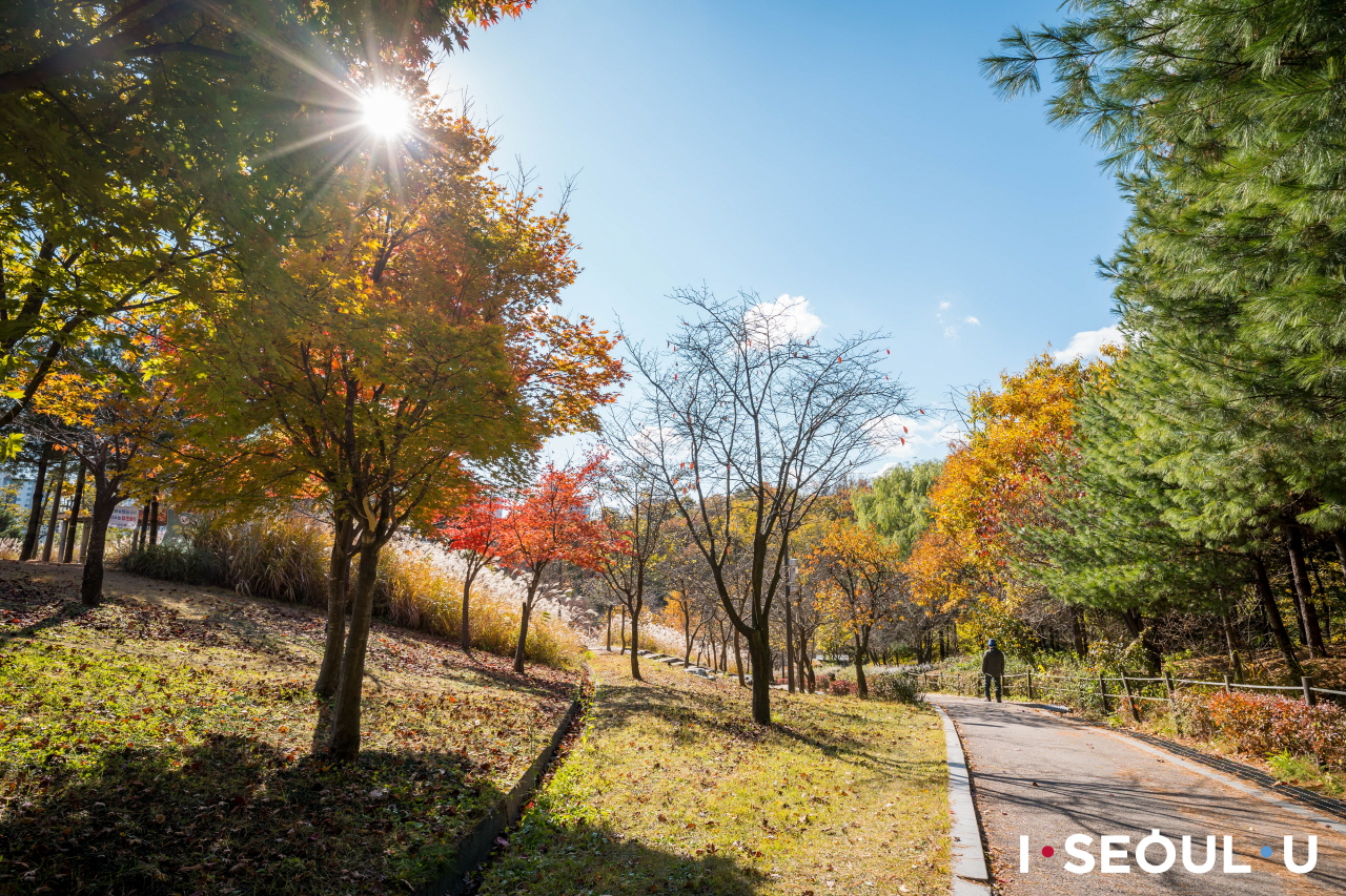 暖かい秋の日差しに照らされたポンスデ(烽燧台)公園の散策路