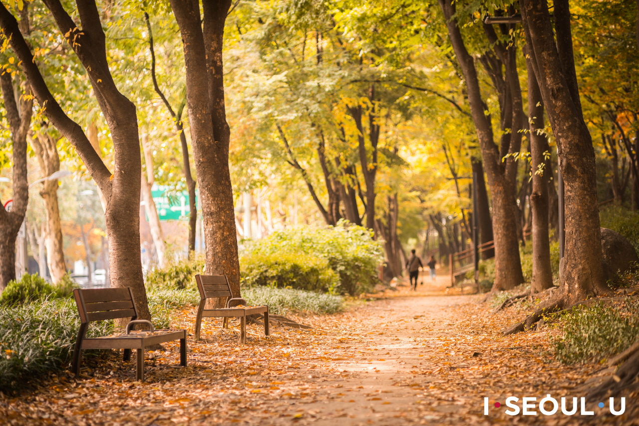 ソンジョン(松亭)堤防ギルにある、落ち葉の散った散策路と誰も座っていない木製のベンチ