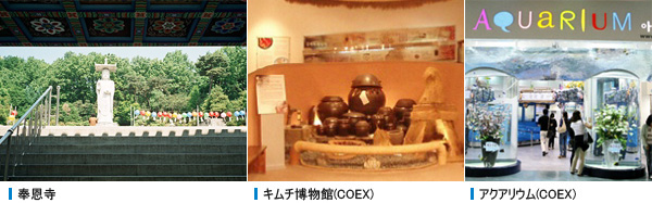  奉恩寺 - キムチ博物館(COEX) - アクアリウム(COEX) 