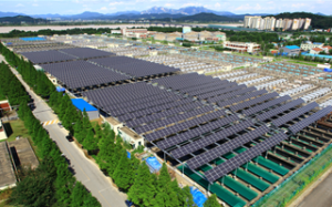 ソウル市 太陽光政策で「C40-Siemensアワード」受賞