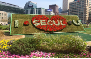 ソウル市庁で豪華な春を満喫してください！