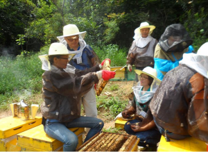 ソウル都市養蜂、設置当初の5箱から70倍成長…6日市民座談会