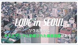 [Love in Seoul] ソウル市庁訪問