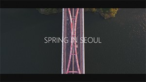 春のソウルのタイムラプス動画