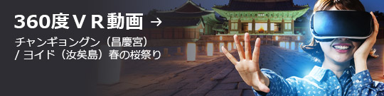 360度ＶＲ動画 → チャンギョングン（昌慶宮） / ヨイド（汝矣島）春の桜祭り
