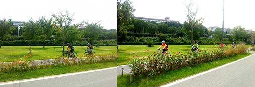 自転車に乗った風景 パンポ・ハンガン(盤浦漢江)公園