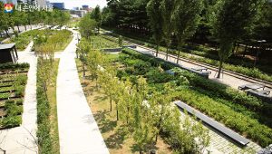 ソウル市、計6kmとなるキョンチュン線森の道の全区間を公開