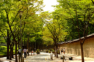 ソウル市「都心の夏の緑道220選」選定