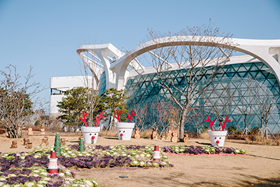 ソウル植物園のウィンターガーデンフェスティバル｢ソウルでヨーロッパのクリスマスを楽しもう！｣
