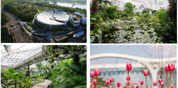 ソウル植物園の来園者1千万人突破、世界的植物園に飛躍目指す