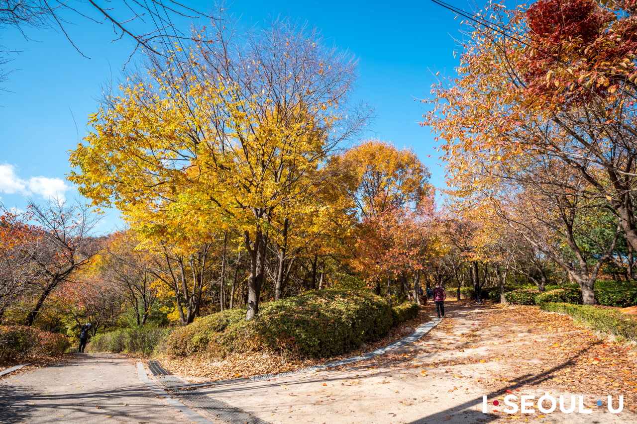 ポンスデ(烽燧台)公園の散策路に積もった落ち葉を踏みながら散歩する人たち