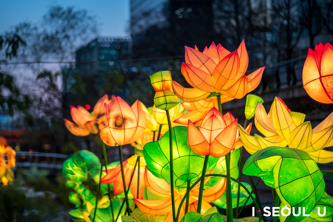 チョンゲチョン(清渓川)で開催されているソウル・ランタンフェスティバルの彩り鮮やかな蓮の花のオブジェ