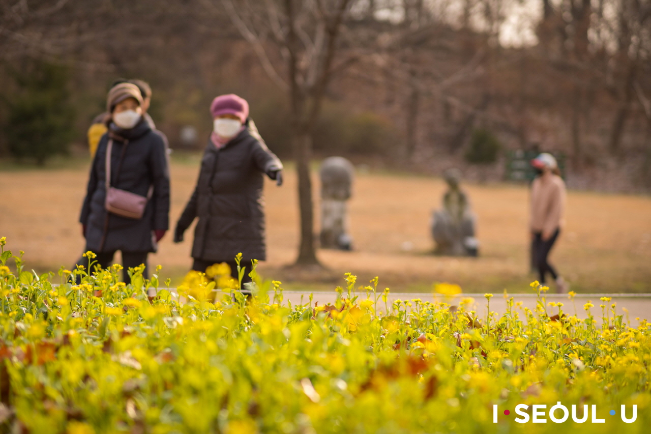 ソウル子供大公園の散策路脇に咲いた野生の花を眺める人々