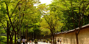 ソウル市、緑地をつなぎ・広げ・増築し、合計2千㎞の「緑の道」を造成