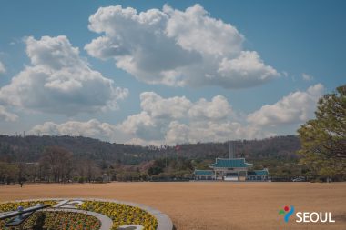 しだれ桜が咲き誇るソウルの桜の名所、トンジャク(銅雀)国立顕忠院
