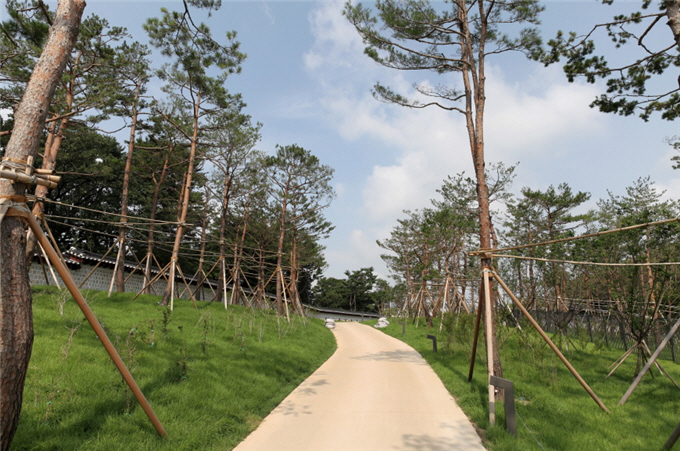 塀道の松林
