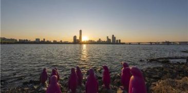 ソウル市、「ハンガン(漢江)の夕焼け名所探し」写真コンテストの受賞作品を発表