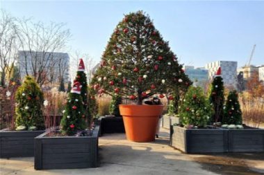 ソウル植物園「冬の庭園」でユニークなクリスマスを送りましょう
