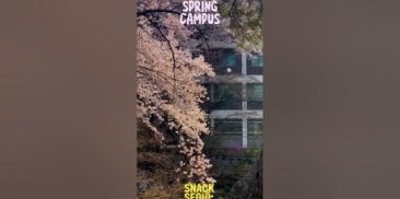 [Snack Seoul] EP.11 Beauty of Spring on Seoul's University Campuses