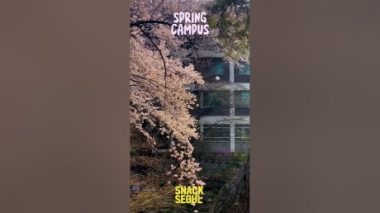 [Snack Seoul] EP.11 Beauty of Spring on Seoul's University Campuses
