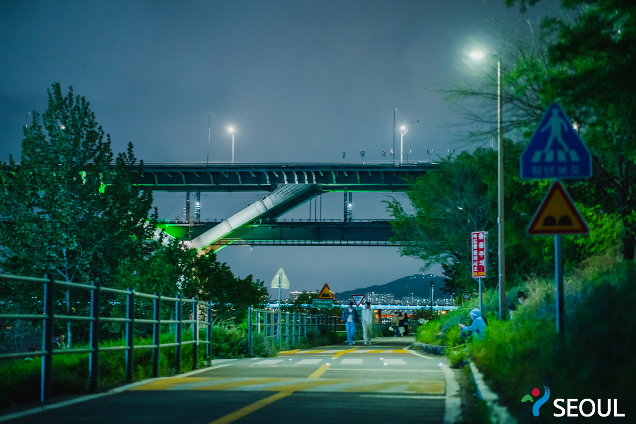 漢江公園の夜景
