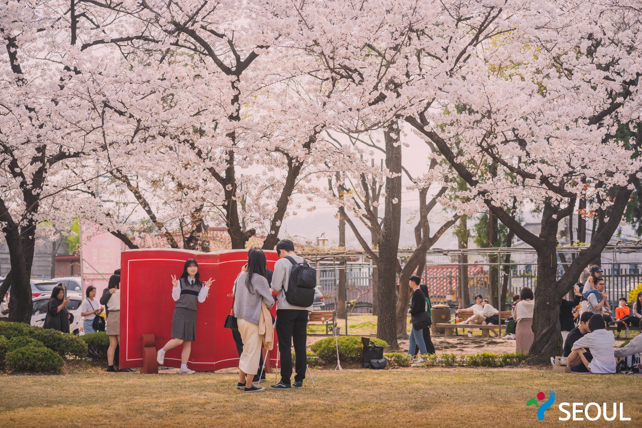 精読図書館桜の木の下で撮影中の市民たち