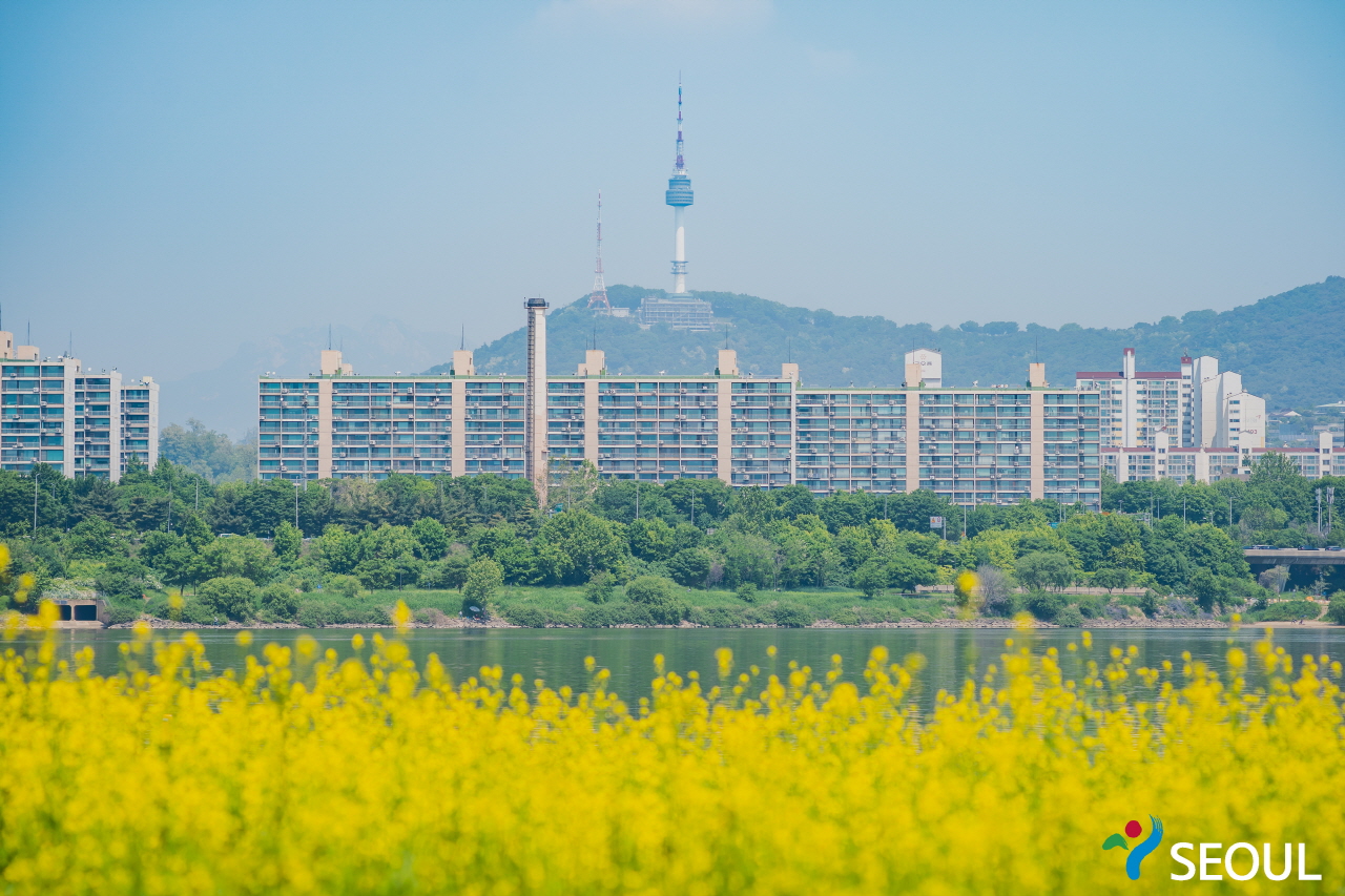 黄色い菜の花、漢江、アパート、南山タワー
