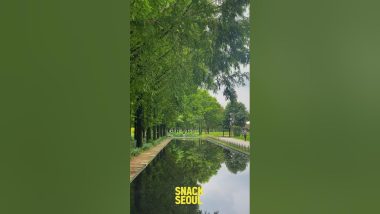 [Snack Seoul] EP.25 Exploring the Green Oasis - Seoul Forest