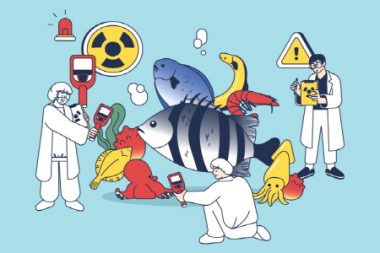ソウル市、すべての水産物に対して標本調査を毎日実施…検査結果はリアルタイム公開