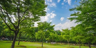 夏の清々しさを満喫できるソ(西)ソウル湖公園