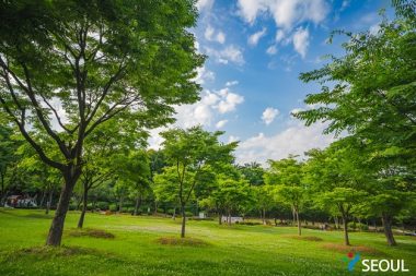 夏の清々しさを満喫できるソ(西)ソウル湖公園