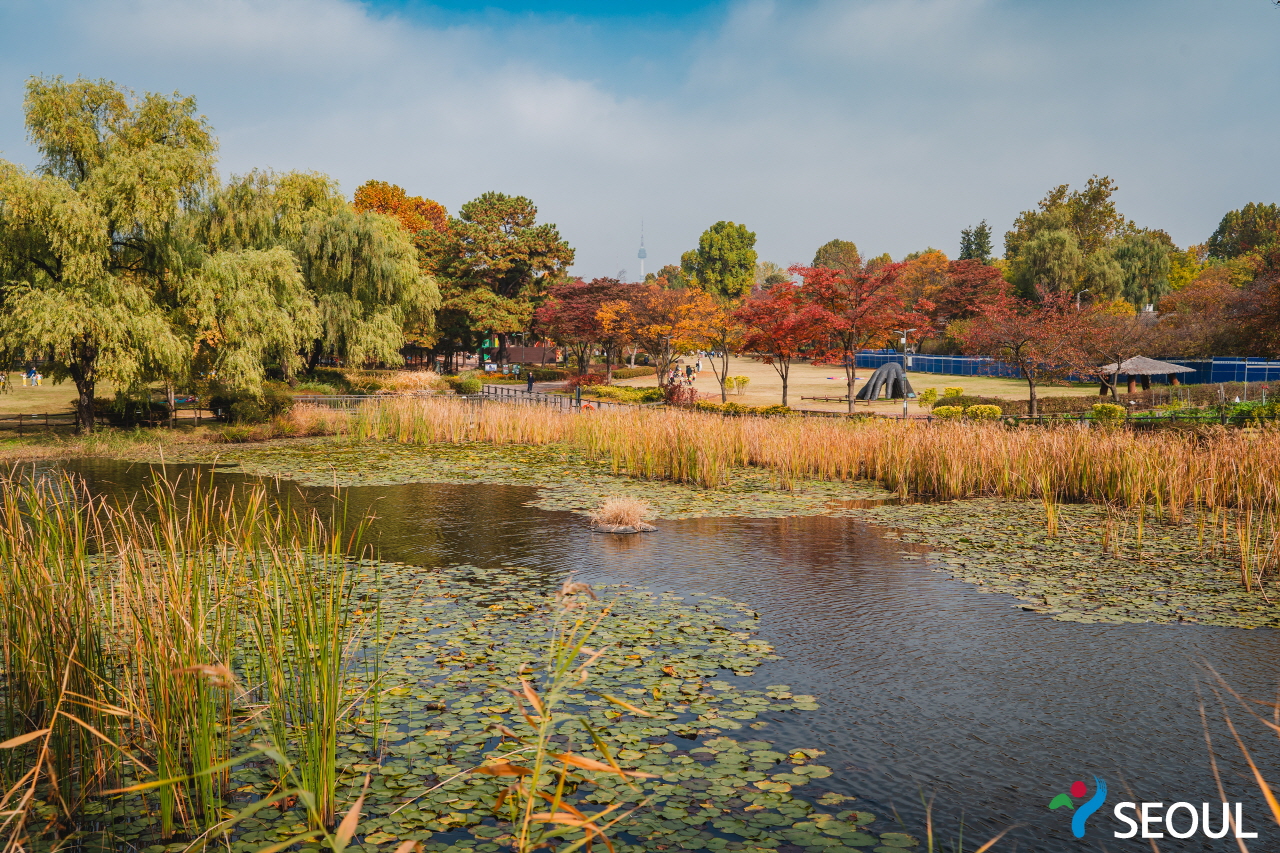 ヨンサン(龍山)公園内部の池の写真1