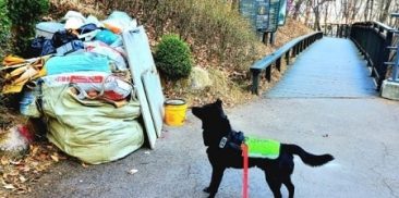 市民の安全に同行する犬…1424チームのソウル伴侶犬パトロール隊が活動開始