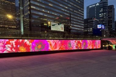 クァンファムン(光化門)広場ヘチマダン、光を秘めた花の道広がる…「開花」テーマのメディアアート