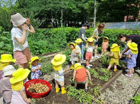 コミュニティの菜園活動