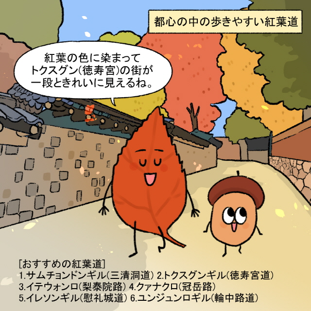 [上部フレーズ] 都心の中の歩きやすい紅葉道タンプン：紅葉の色に染まってトクスグン(徳寿宮)の街が一段ときれいに見えるね。 / [下部ボックス：おすすめの紅葉道]1.サムチョンドンギル(三清洞道) 2.トクスグンギル(徳寿宮道) 3.イテウォンロ(梨泰院路) 4.クァナクロ(冠岳路) 5.イレソンギル(慰礼城道) 6.ユンジュンロギル(輪中路道)