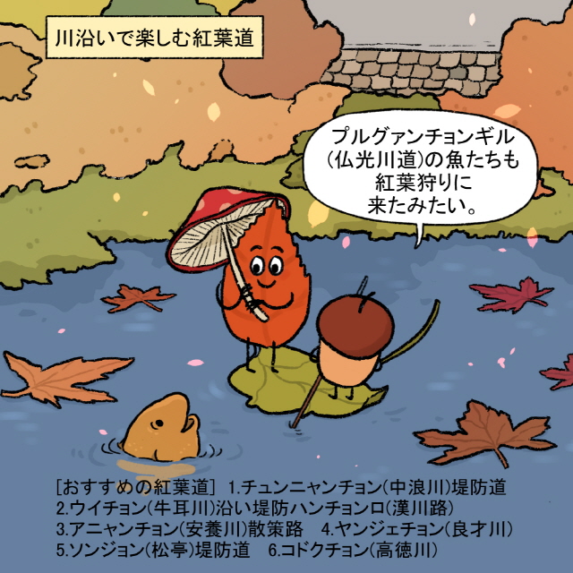 [上部フレーズ] 川沿いで楽しむ紅葉道 / トトル：プルグァンチョンギル(仏光川道)の魚たちも紅葉狩りに来たみたい。 / [下部ボックス：おすすめの紅葉道]1.チュンニャンチョン(中浪川)堤防道 2.ウイチョン(牛耳川)沿い堤防ハンチョンロ(漢川路) 3.アニャンチョン(安養川)散策路 4.ヤンジェチョン(良才川) 5.ソンジョン(松亭)堤防道 6.コドクチョン(高徳川)