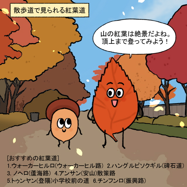 [上部フレーズ] 散歩道で見られる紅葉道 / タンプン：山の紅葉は絶景だよね。頂上まで登ってみよう！ / [下部ボックス：おすすめの紅葉道]1.ウォーカーヒルロ(ウォーカーヒル路) 2.ハングルピソクギル(碑石道) 3. ノヘロ(蘆海路) 4.アンサン(安山)散策路 5.トゥンヤン(登陽)小学校前の道 6.チンフンロ(振興路)