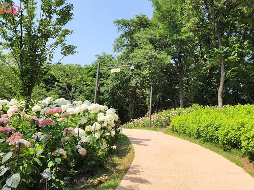 チョアンサン(楚安山)近隣公園の造成