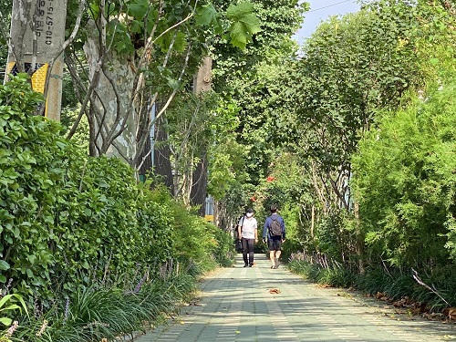 ヨンサン(龍山)中学校・高等学校(通学路)学校林の造成