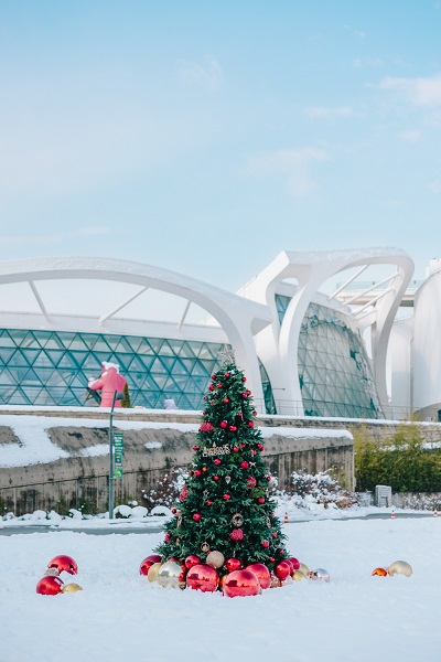 雪が積もったソウル植物園(外観)