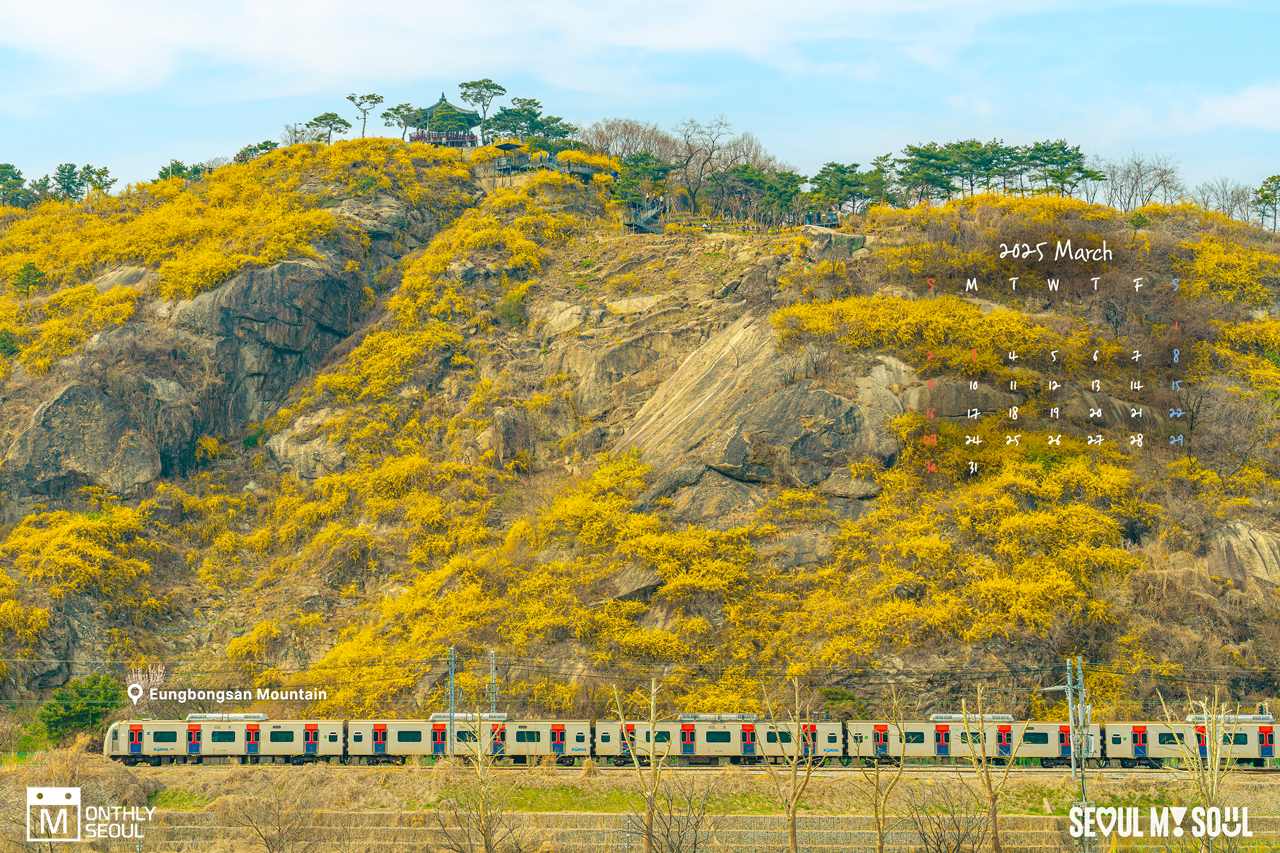 レンギョウが咲いた鷹峰山の全景を背景に、麓を走る地下鉄の写真を背景に作ったカレンダーイメージ