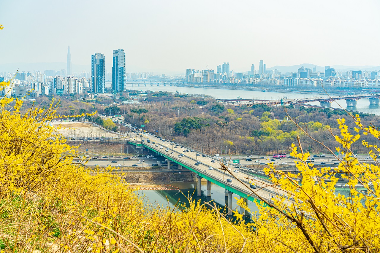 鷹峰山からレンギョウの間から眺めた漢江が流れる都市の全景写真