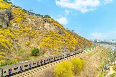 (3月) 鷹峰山